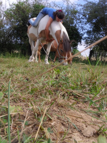 Photo de profil de camomo