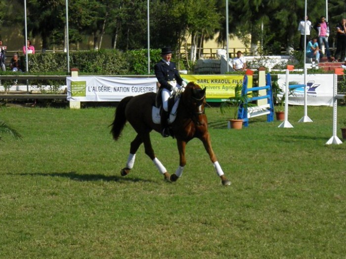 Photo de profil de wolken