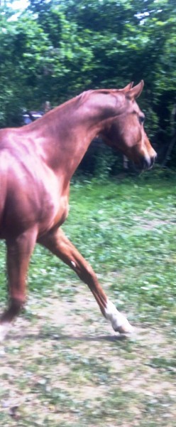Photo de profil de rox31