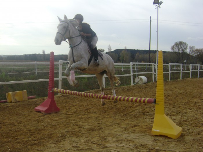 Photo de profil de chevaloute