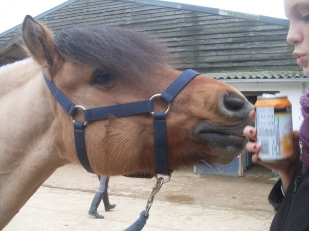 Photo de profil de christel.oscar