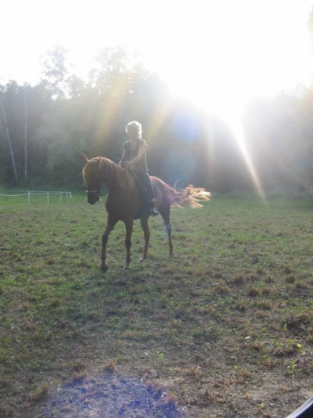 Photo de profil de chevallaura