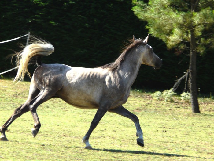 Photo de profil de sophie0726