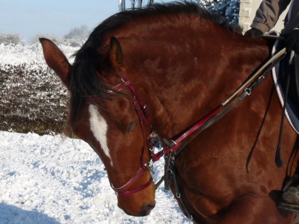 Photo de profil de amandiine62