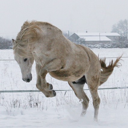 Photo de profil de spanrou