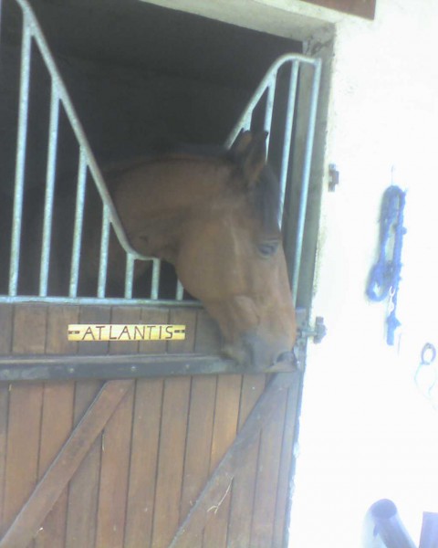 Photo de profil de morgane78130