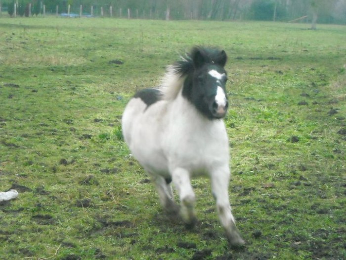 Photo de profil de clemencesdc