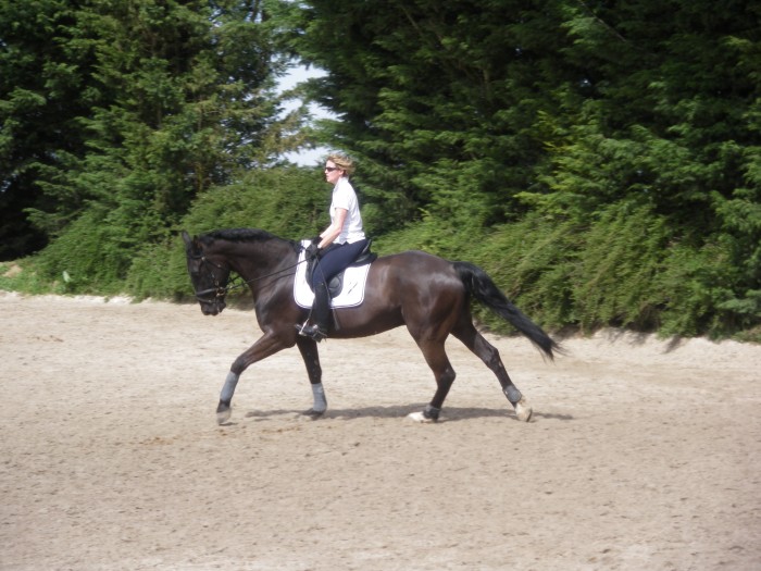 Photo de profil de beneberger