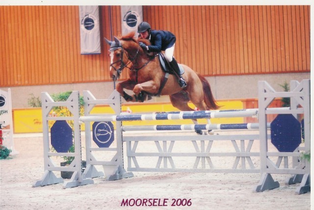 Photo de profil de seahorse