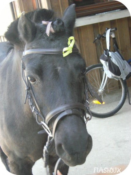 Photo de profil de equipassionx80