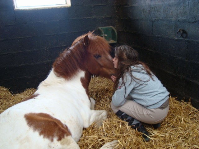 Photo de profil de lou33