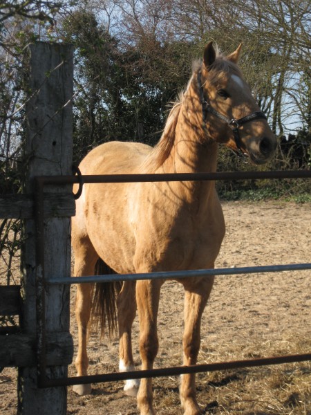 Photo de profil de clairinou79