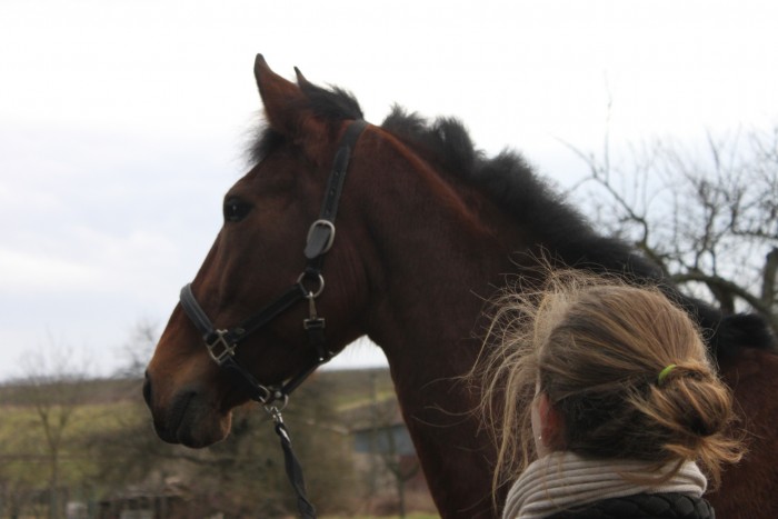 Photo de profil de marionm