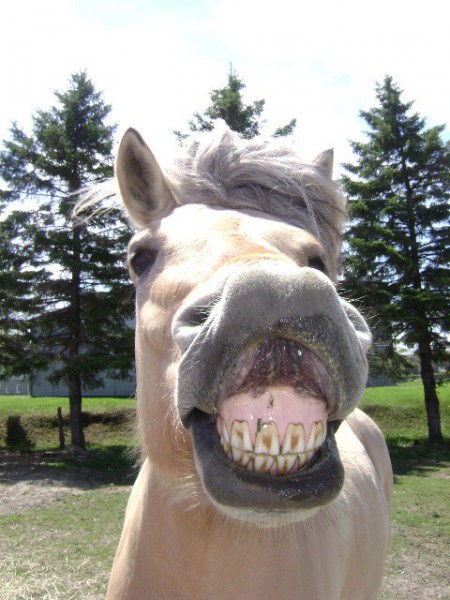 Photo de profil de maxi