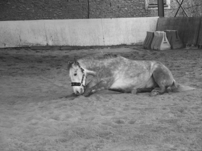 Photo de profil de rockyy