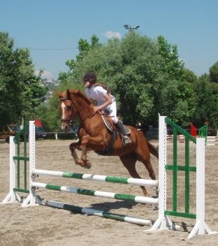 Photo de profil de ly3306