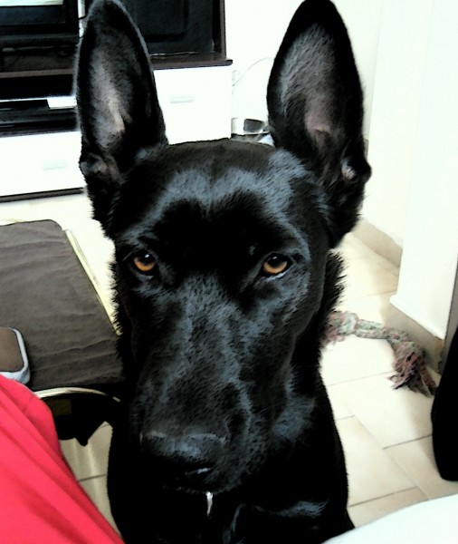 Photo de profil de tekii