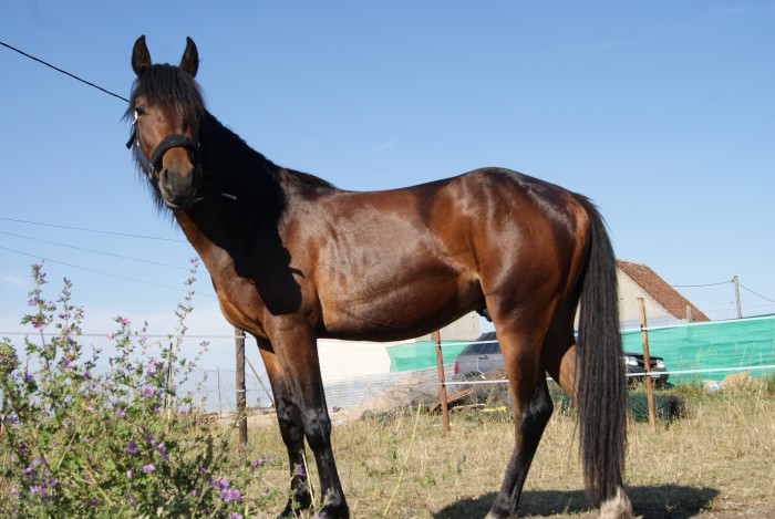 Photo de profil de donatello45