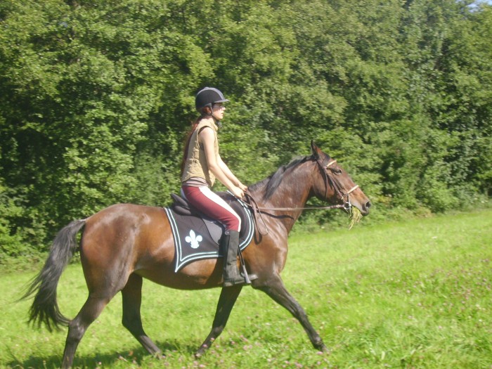 Photo de profil de adeline7