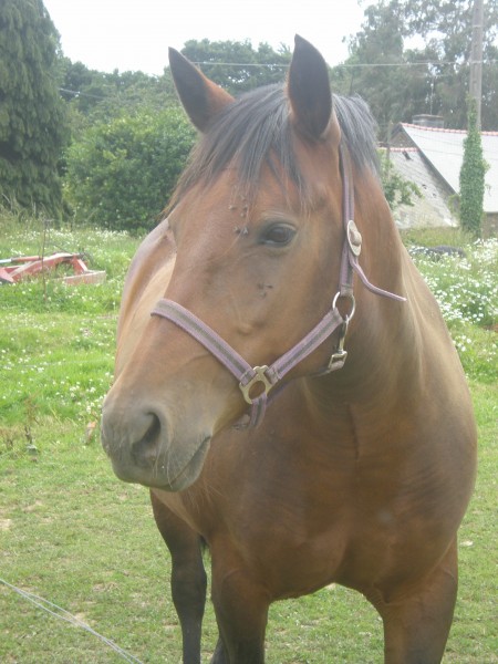 Photo de profil de nonma22