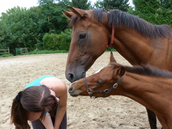 Photo de profil de isatisbayard