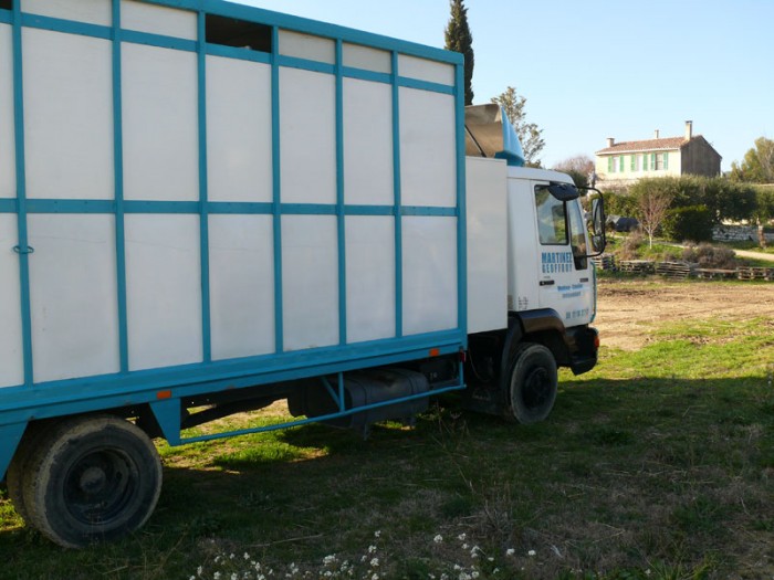 Photo de profil de majmarti