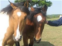 Photo de profil de norris80