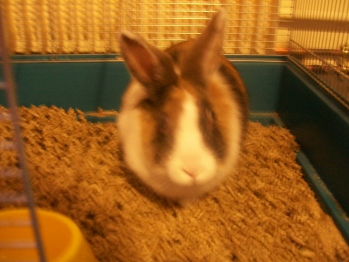 Photo de profil de gabibecon