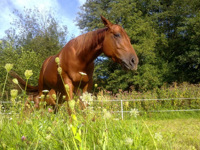 Photo de profil de myshelby