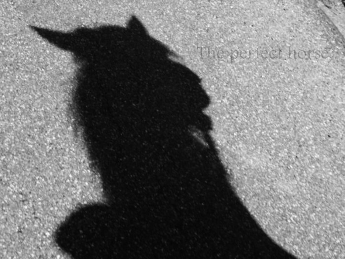 Photo de profil de tagadaledada