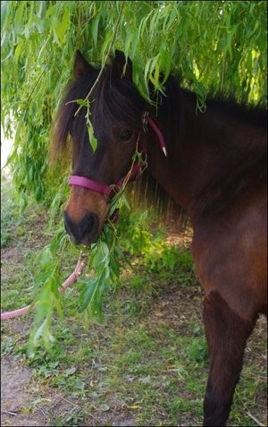 Photo de profil de doudou24