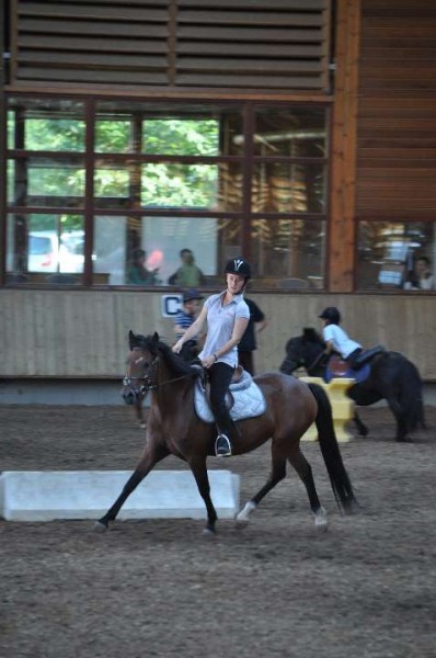 Photo de profil de dinguedeponey