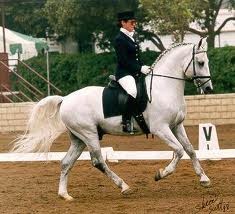 Photo de profil de marie159