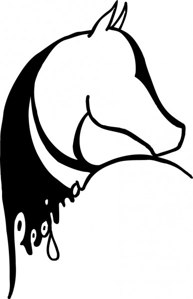 Photo de profil de rafale05