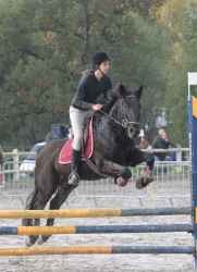 Photo de profil de estepona