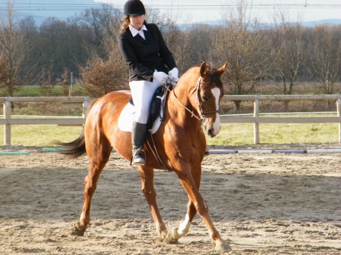 Photo de profil de tender