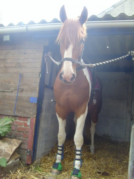 Photo de profil de clotilde59310