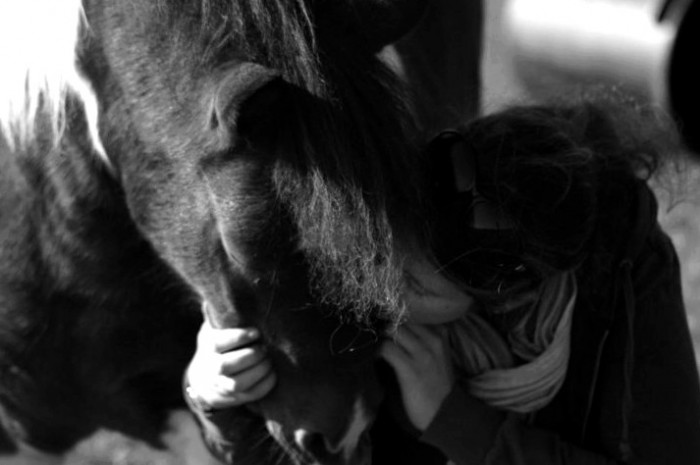 Photo de profil de kervegan