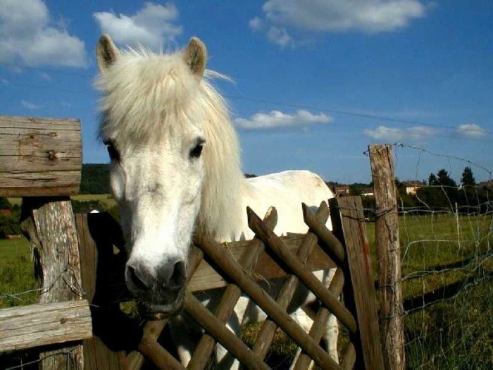 Photo de profil de shanaidaho