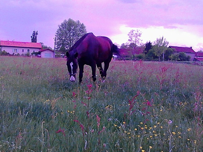 Photo de profil de mathildexpeter