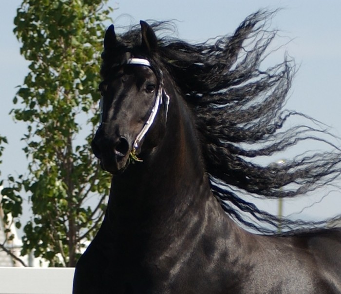 Photo de profil de cezjujucez