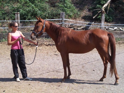 Photo de profil de lina55