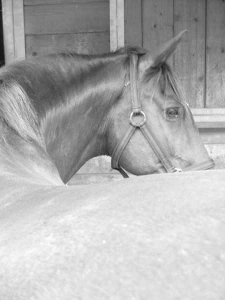 Photo de profil de tastout