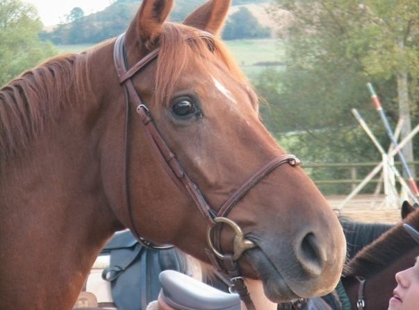 Photo de profil de sh0ute54