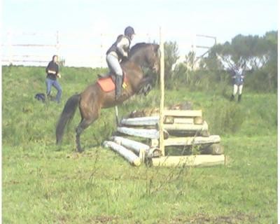 Photo de profil de amendynefr