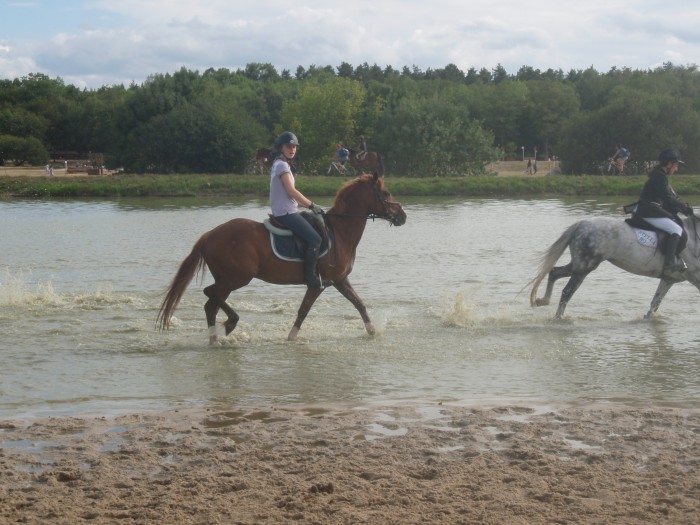 Photo de profil de clairehe