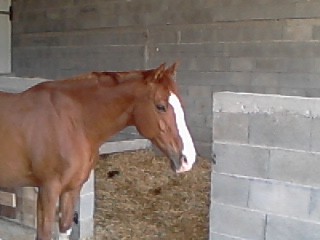 Photo de profil de maylischeval11