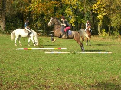 Photo de profil de dichou