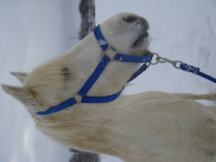 Photo de profil de ptitejulie84