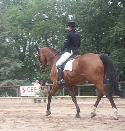 Photo de profil de elevagedescrus